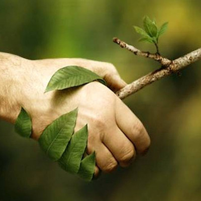 La consultation Naturopathe